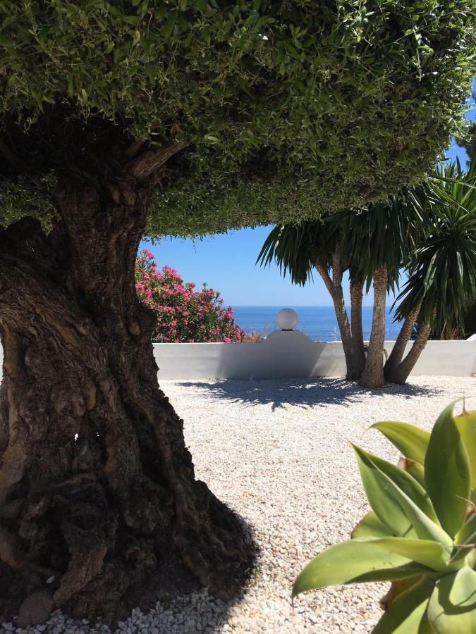 Casa Capricornio Bed & Breakfast Marbella Dış mekan fotoğraf