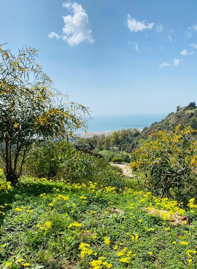 Casa Capricornio Bed & Breakfast Marbella Dış mekan fotoğraf