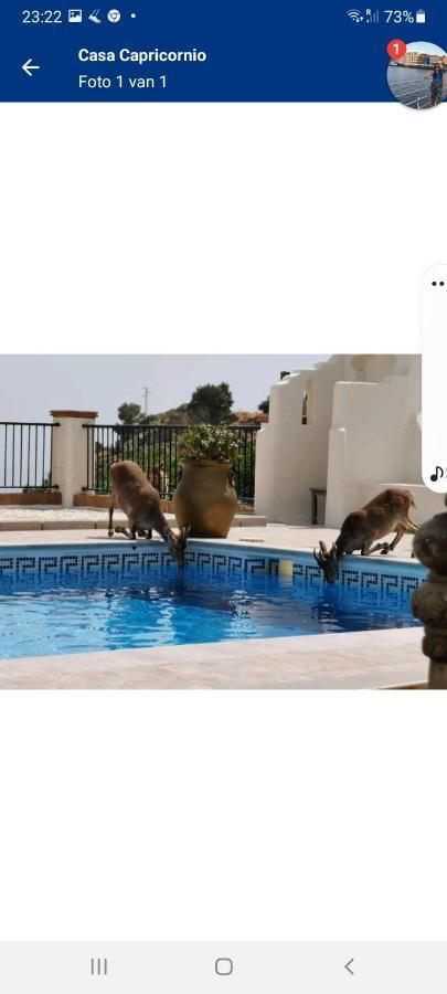 Casa Capricornio Bed & Breakfast Marbella Dış mekan fotoğraf